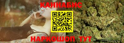 Альфа ПВП Бийск