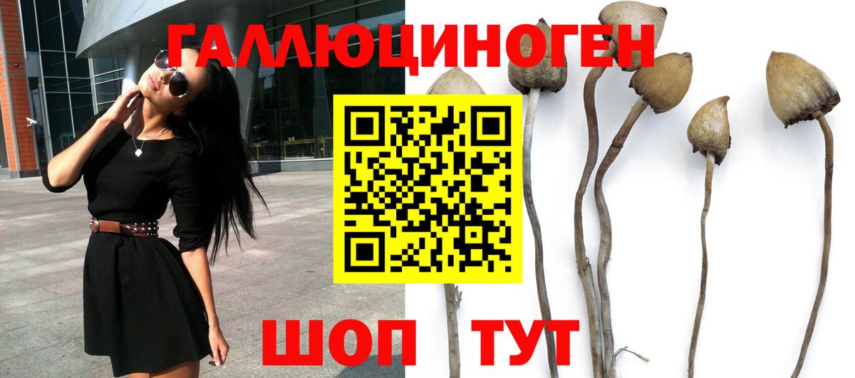 Галлюциногенные грибы Magic Shrooms  Галлюциногенные грибы мицелий  где можно купить   Знаменск  Вход с VPN 